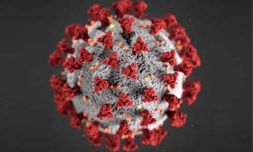 virus